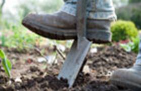 Spade in mud